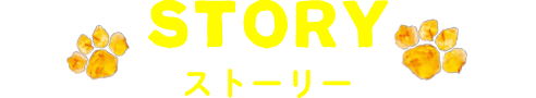 STORY